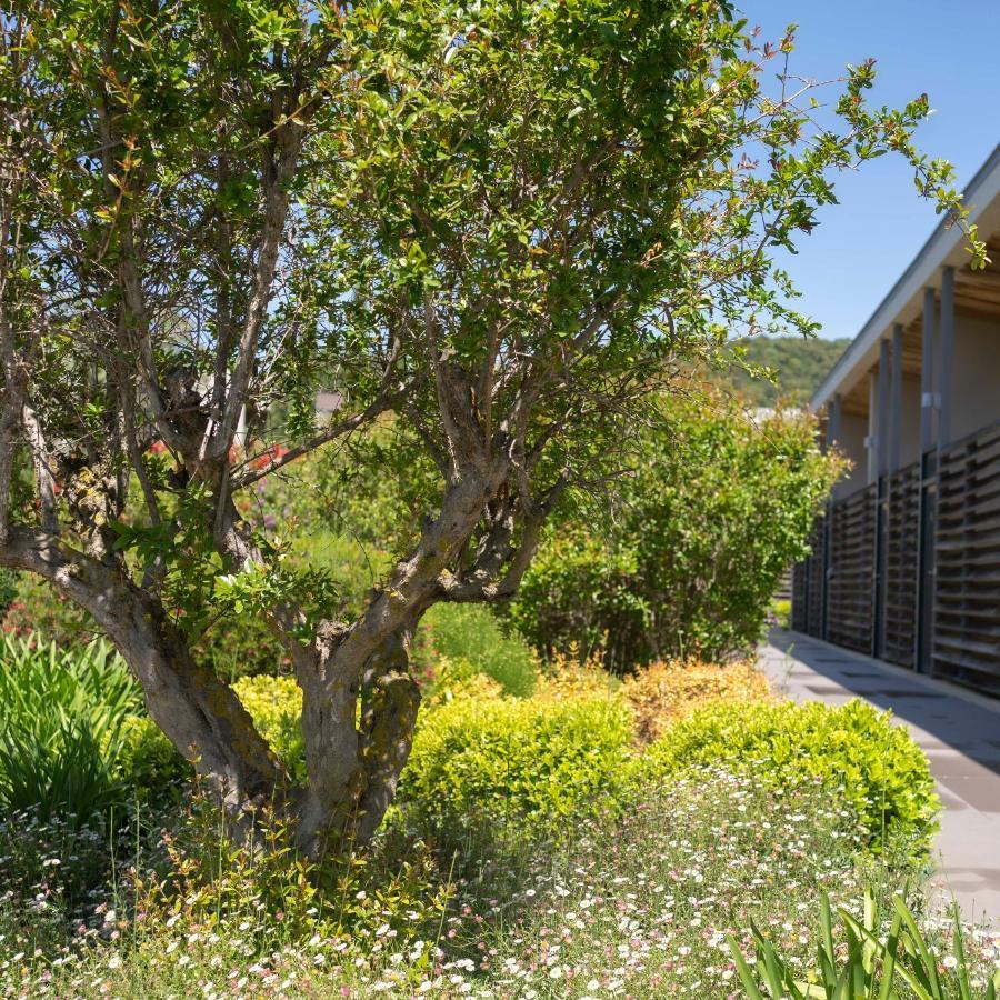 Costa Nera Apartment Porto-Vecchio  Exterior photo